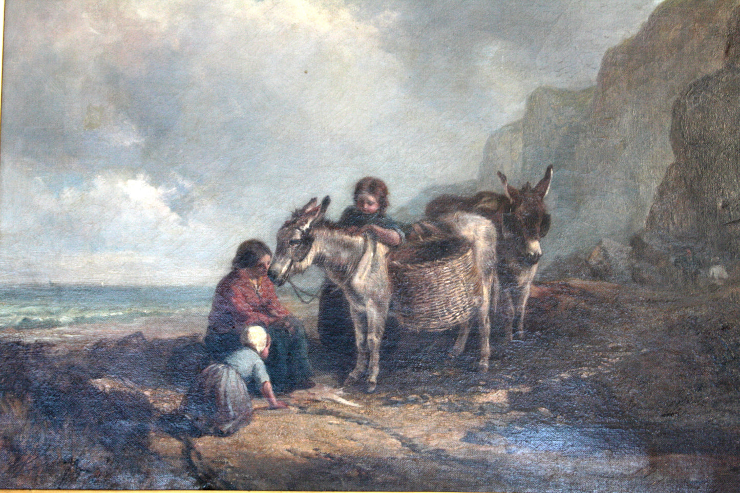 Asino marrone con marchio di attribuzione di Joseph Paul Pettitt su terreno roccioso
