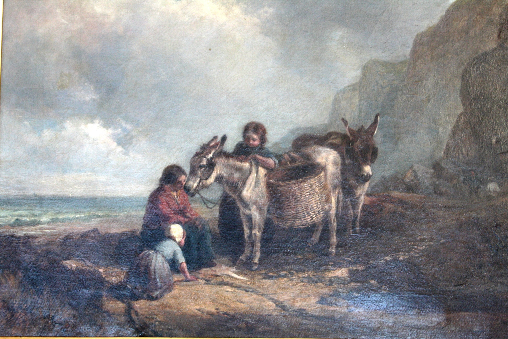Asino marrone con marchio di attribuzione di Joseph Paul Pettitt su terreno roccioso