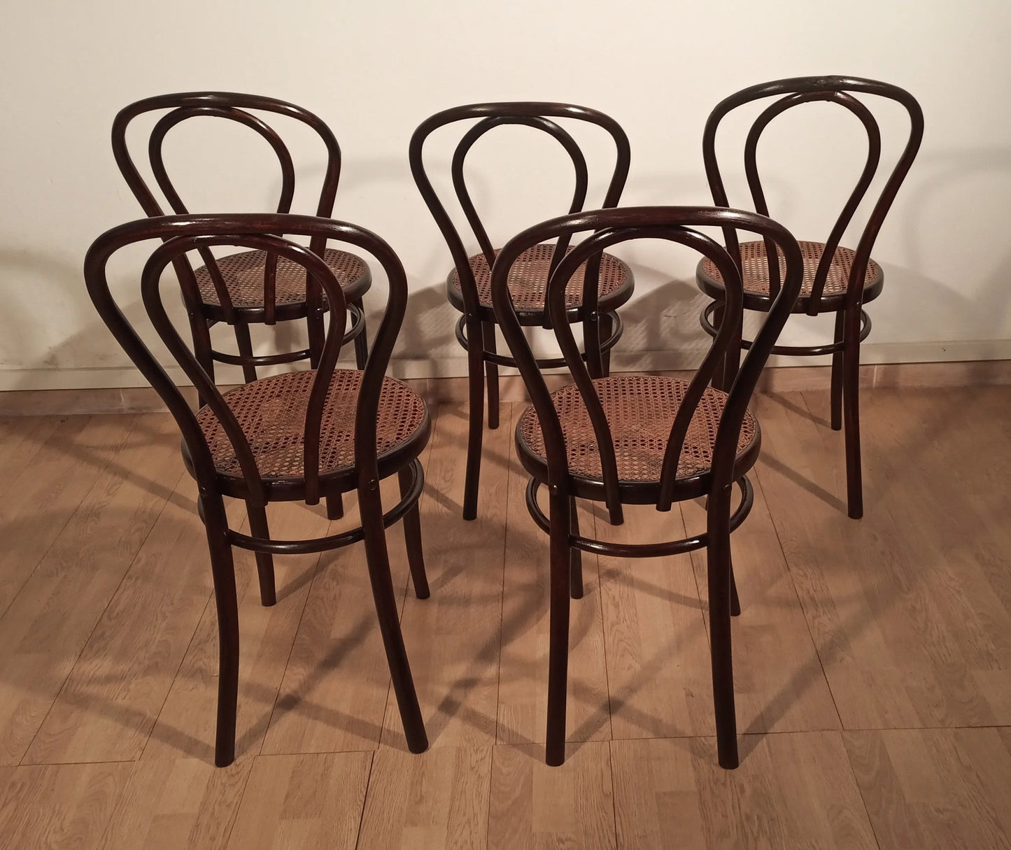 Set di cinque sedie in stile thonet drava in legno scuro con schienali curvi e sedute in cannage