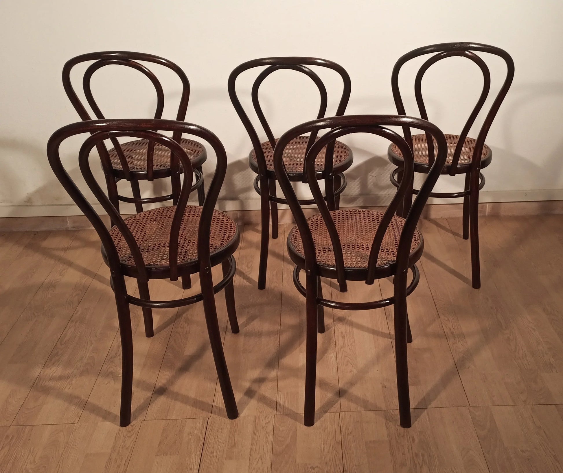 Set di cinque sedie in stile thonet drava in legno scuro con schienali curvi e sedute in cannage