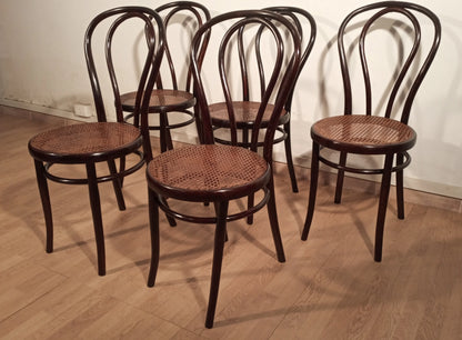 Set di cinque sedie stile thonet drava in legno curvato con sedili in paglia intrecciata per sala da pranzo