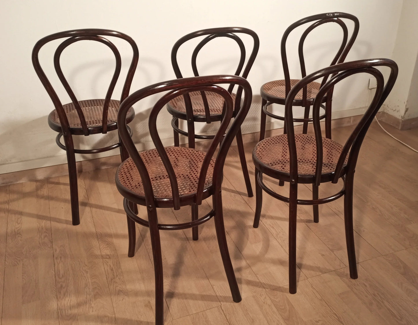 Set di cinque sedie stile thonet drava con sedute in paglia di vienna e schienali curvi in legno piegato
