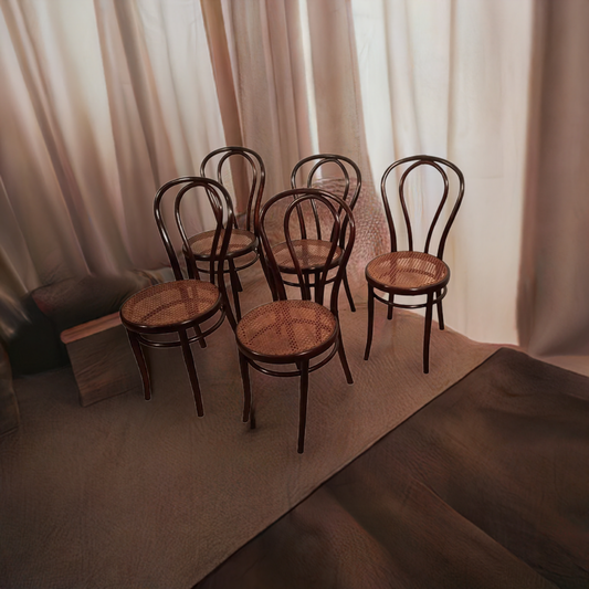 Sedie in stile Thonet Drava set di 5 con sedili in midollo di sezione mícara